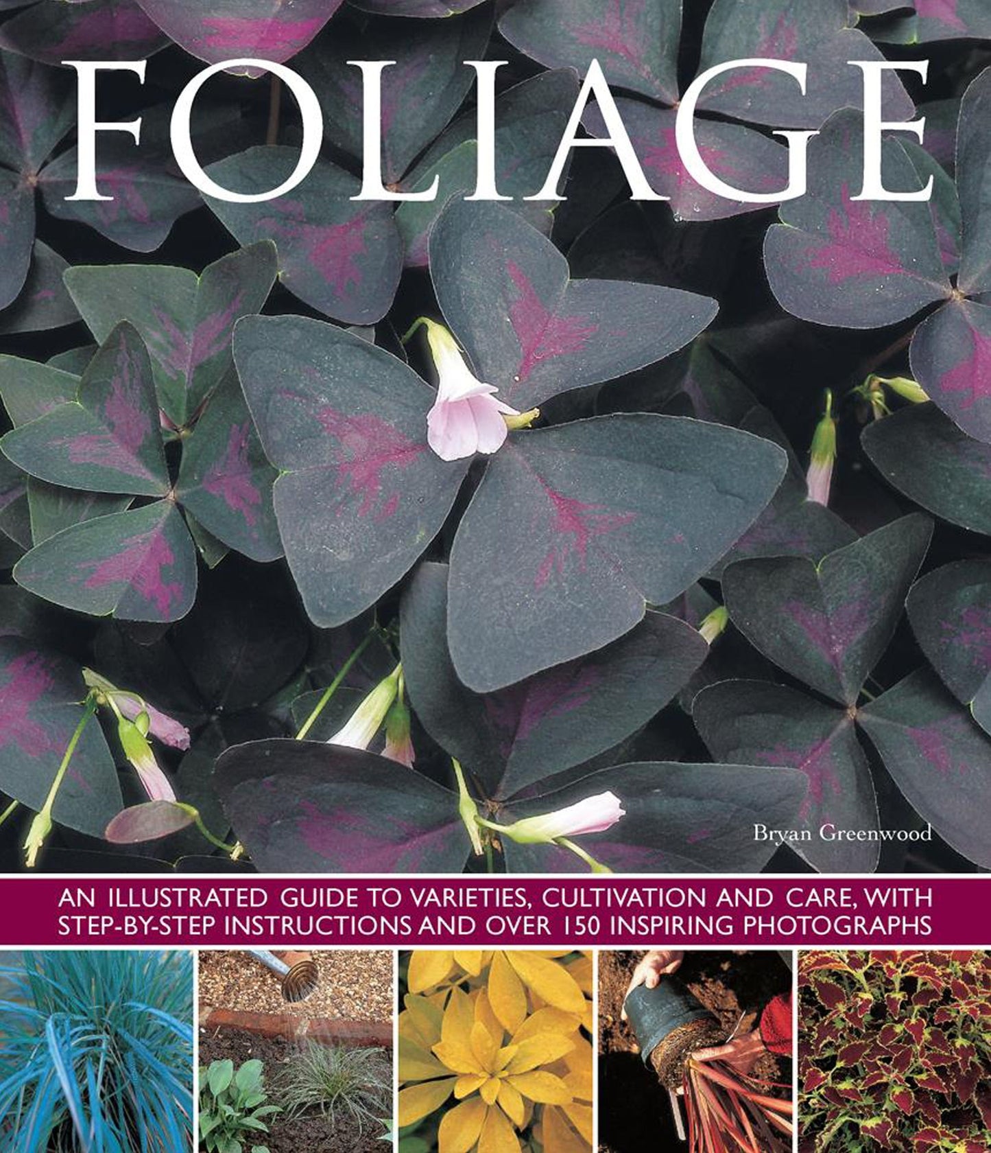 Foliage: An illustrated guide to varieties, cultivation and care, with step-by-step instructions and over 150 inspiring photographs