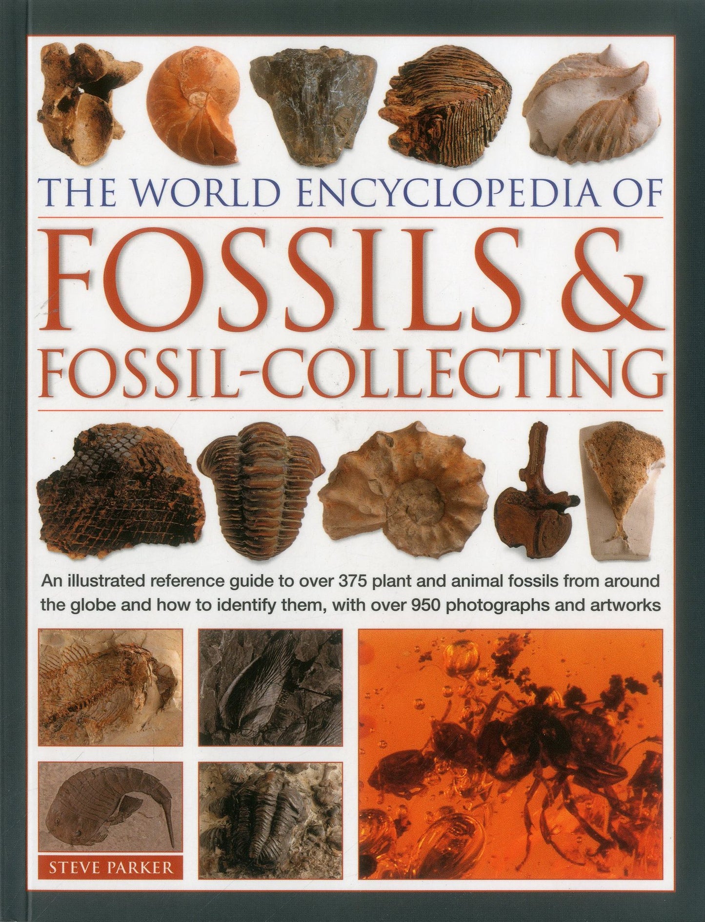 The World Encyclopedia of Fossils & Fossil-Collecting:: An Illustrated Reference Guide To Over 375 Plant And Animal Fossils From Around The Globe And How To Identify Them, With Over 950 Photographs And Artworks