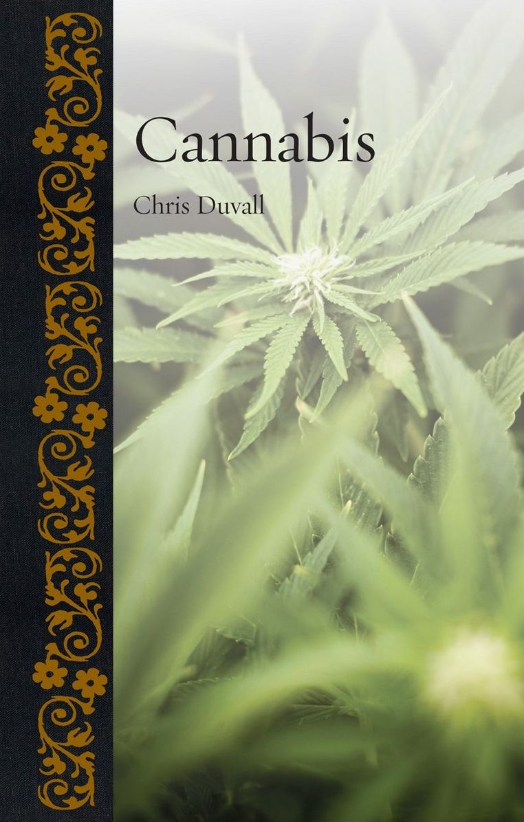 Cannabis