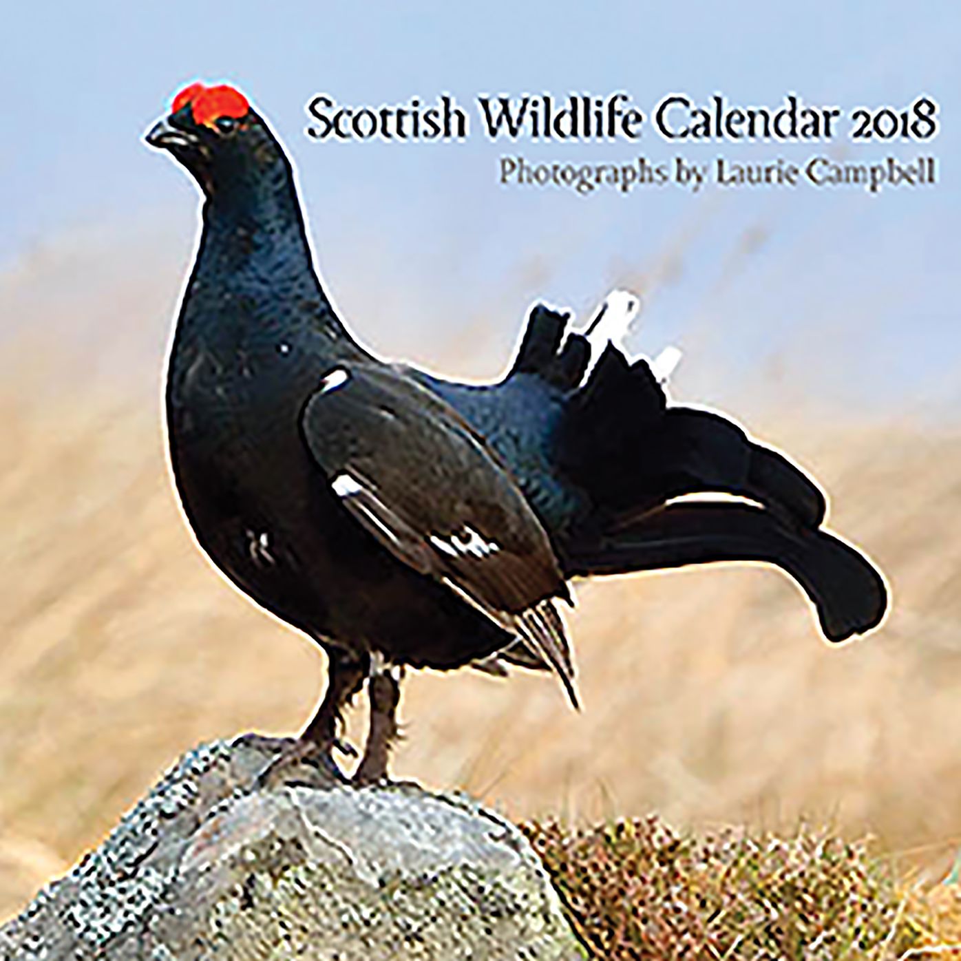 The Scottish Wildlife Calendar 2018