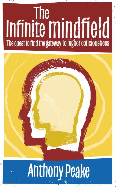 The Infinite Mindfield: The Quest to Find the Gateway to Higher Consciousness