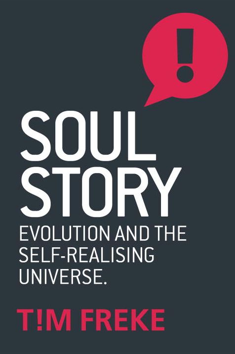 Soul Story: Evolution and the Purpose of Life