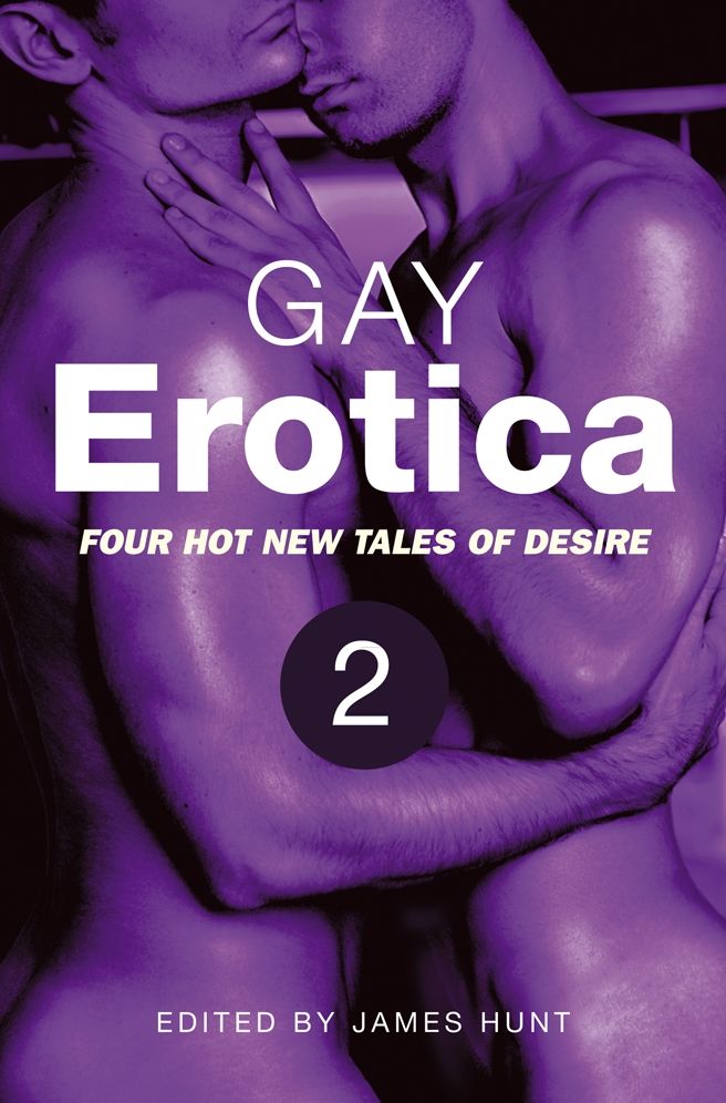 Gay Erotica, Volume 2