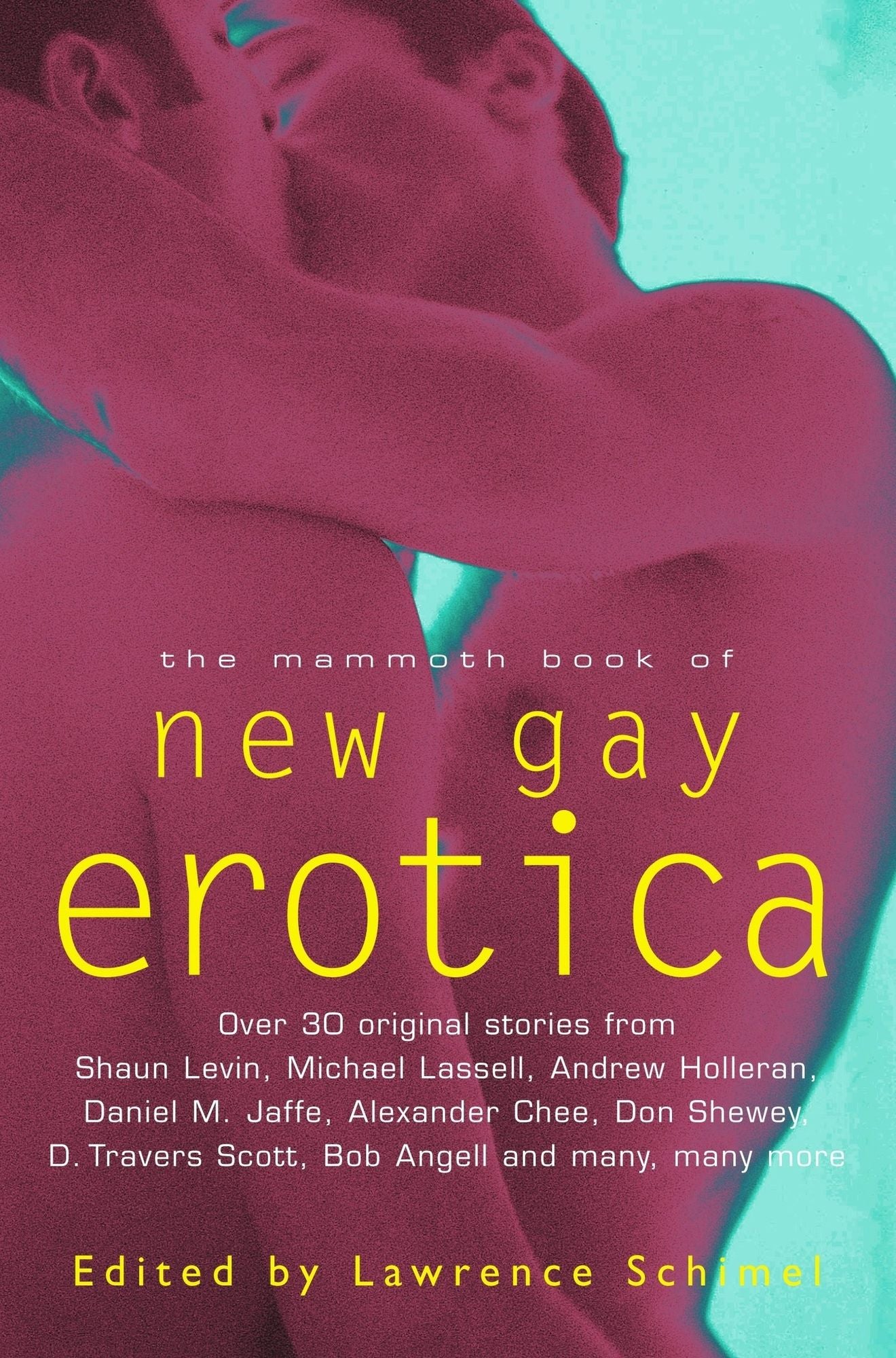The Mammoth Book of New Gay Erotica: An anthology of literary fiction