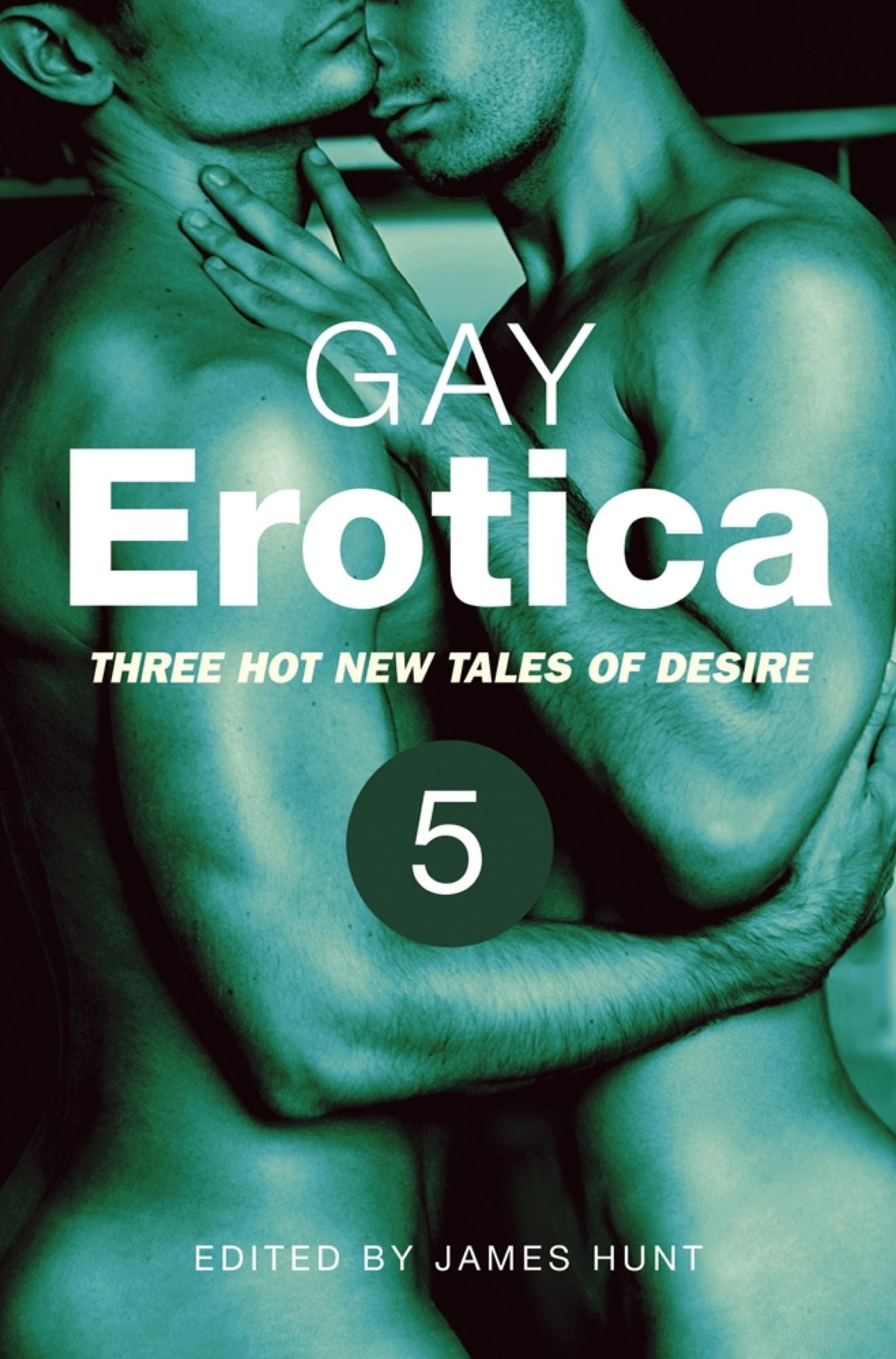 Gay Erotica, Volume 5: Four hot new tales of desire