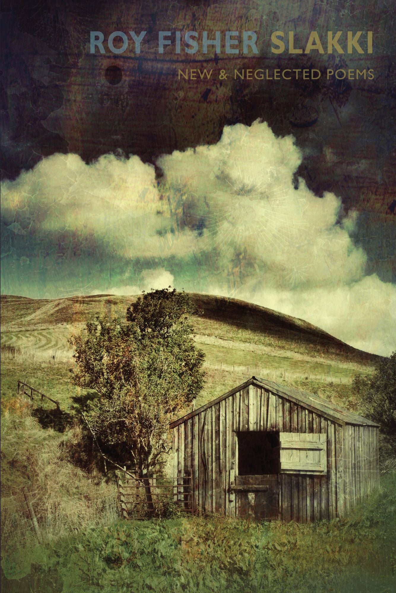 Slakki: New & Neglected Poems