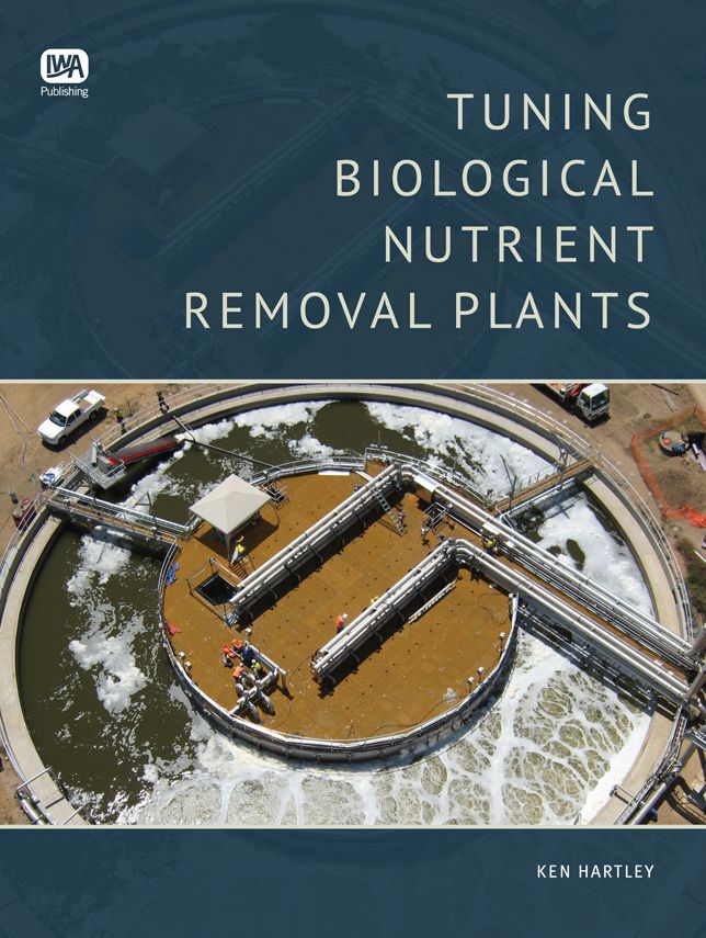 Tuning BNR Plants