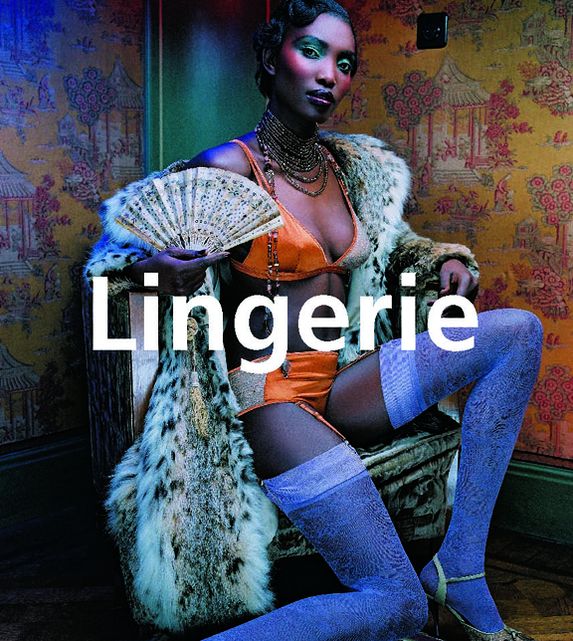 Lingerie (PagePerfect NOOK Book)