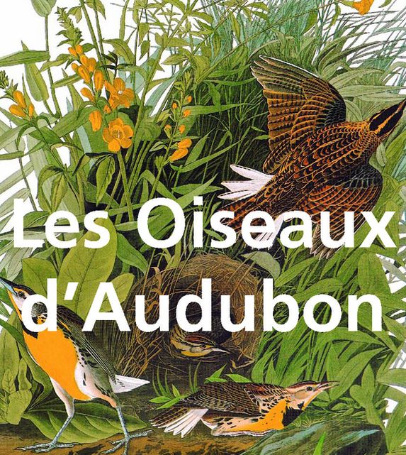 Les Oiseaux d'Audubon (PagePerfect NOOK Book)