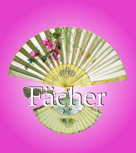 Fächer (PagePerfect NOOK Book)