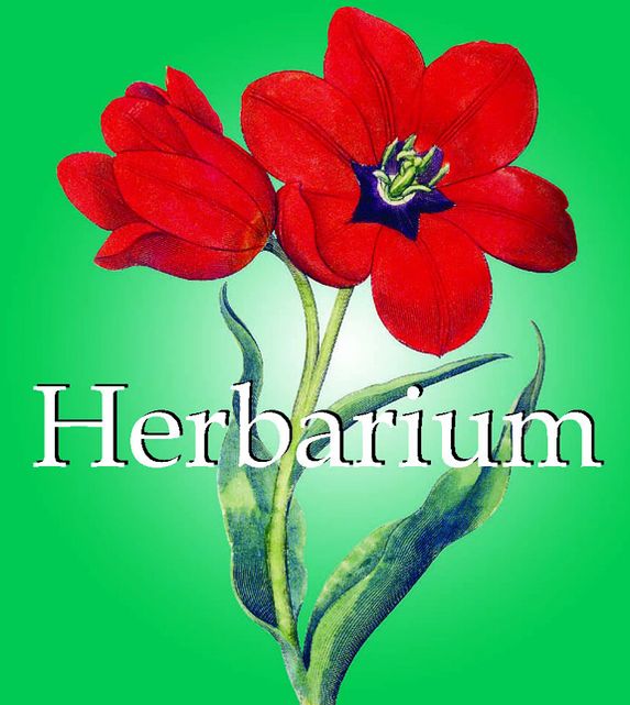 Herbarium (PagePerfect NOOK Book)