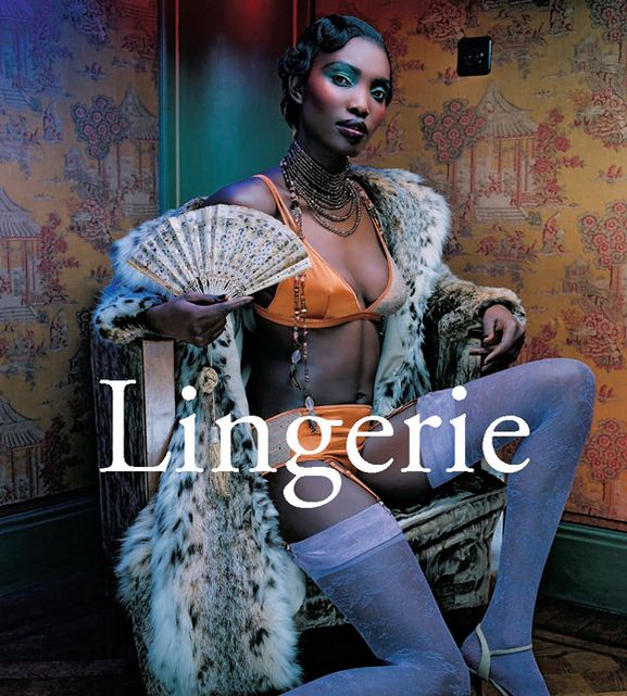 Lingerie (PagePerfect NOOK Book)