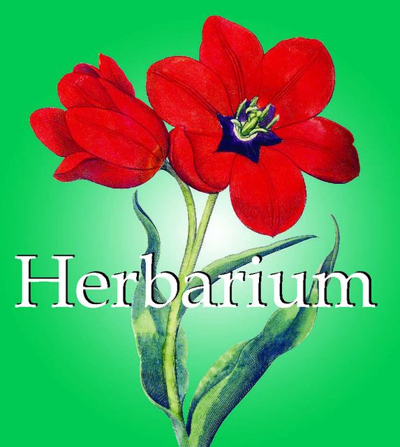 Herbarium (PagePerfect NOOK Book)