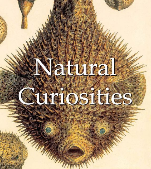 Natural Curiosities (PagePerfect NOOK Book)