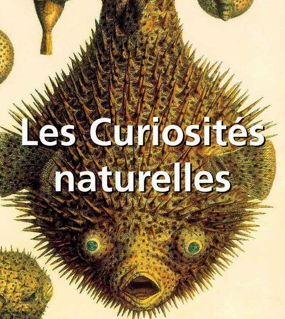 Les Curiosités naturelles (PagePerfect NOOK Book)