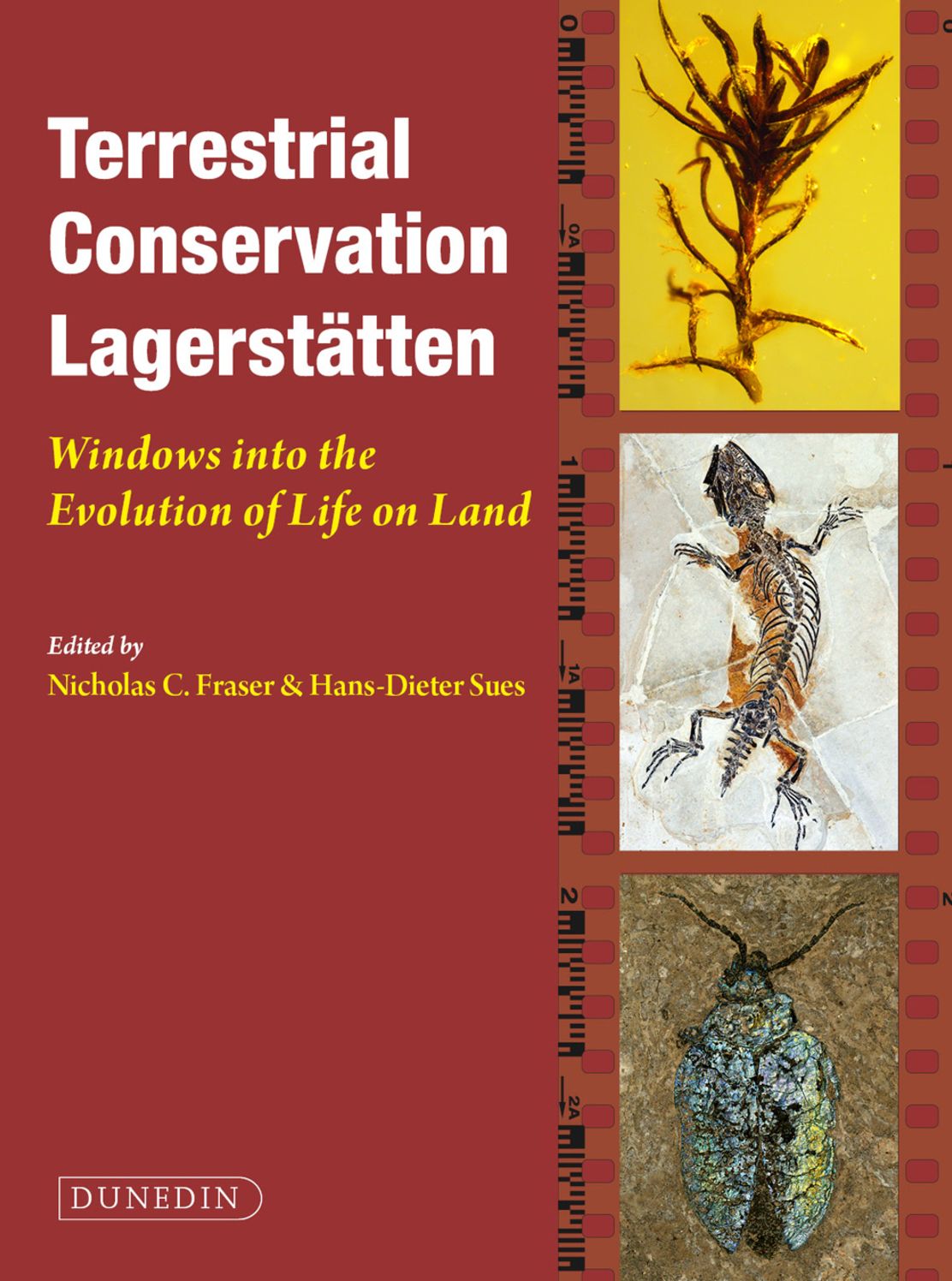 Terrestrial Conservation Lagerstatten: Windows Into the Evolution of Life on Land
