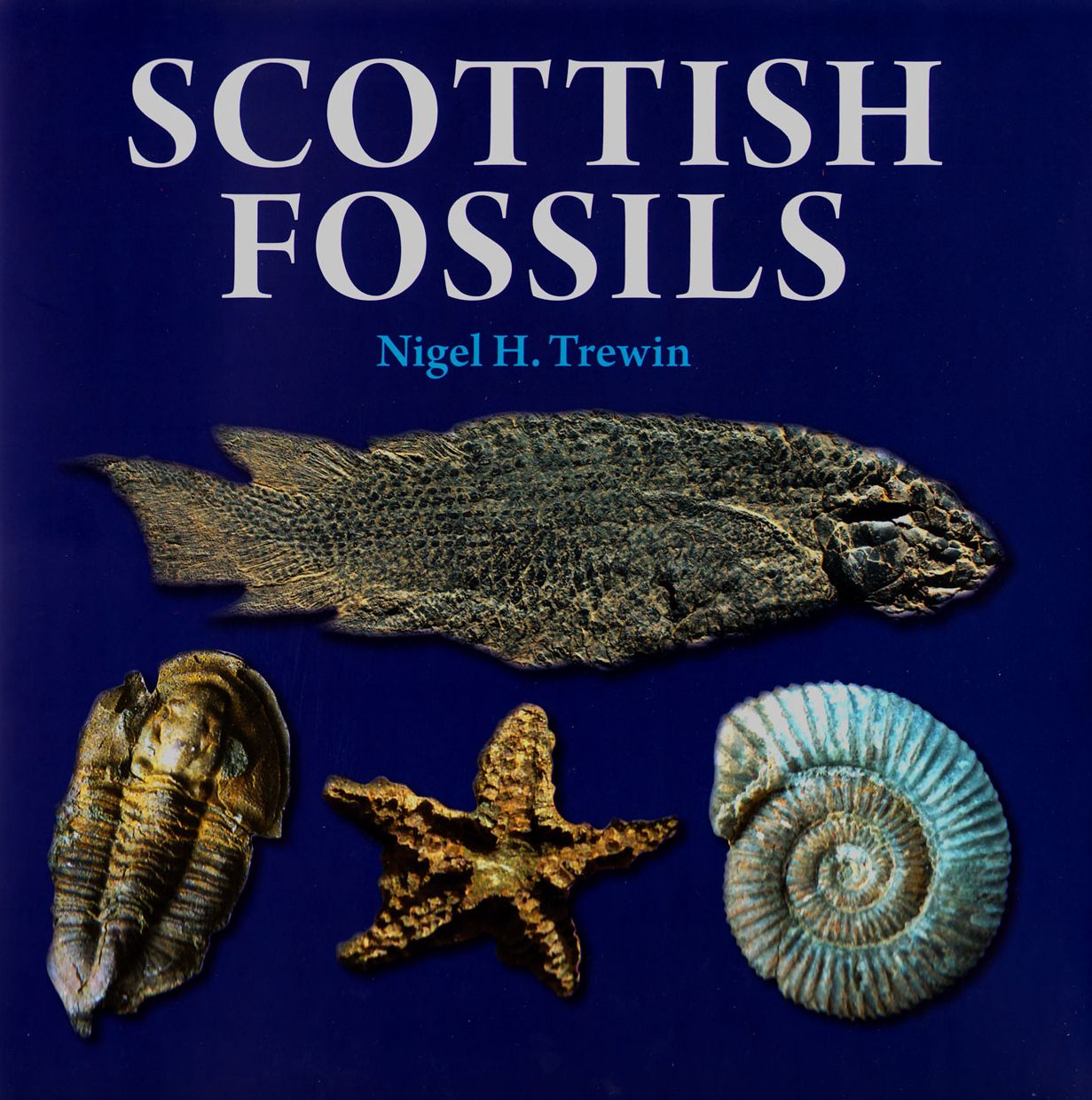 Scottish Fossils