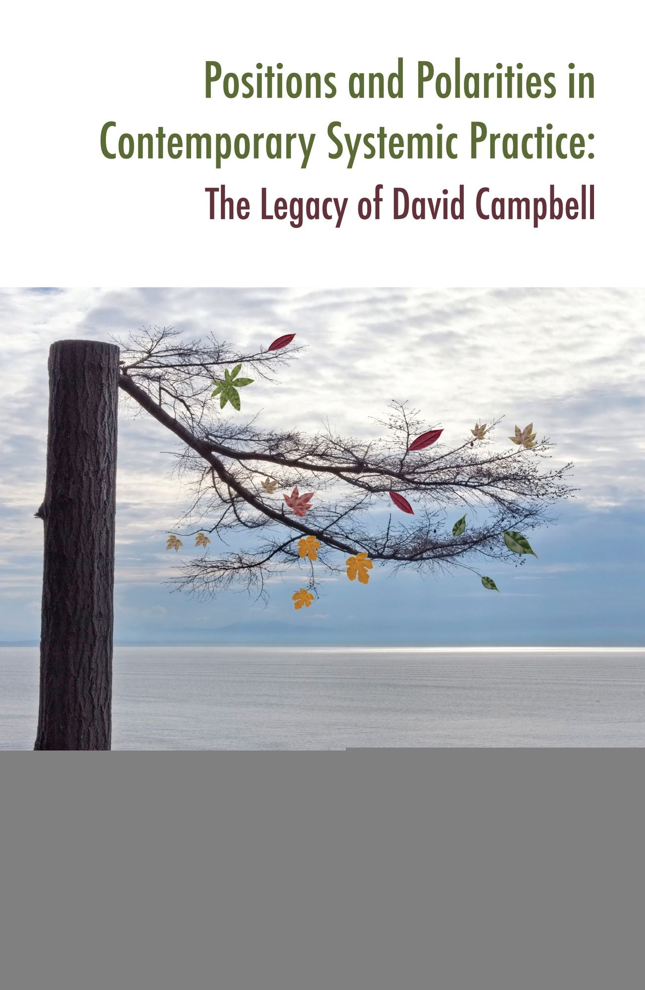 Positions and Polarities in Contemporary Systemic Practice: The Legacy of David Campbell