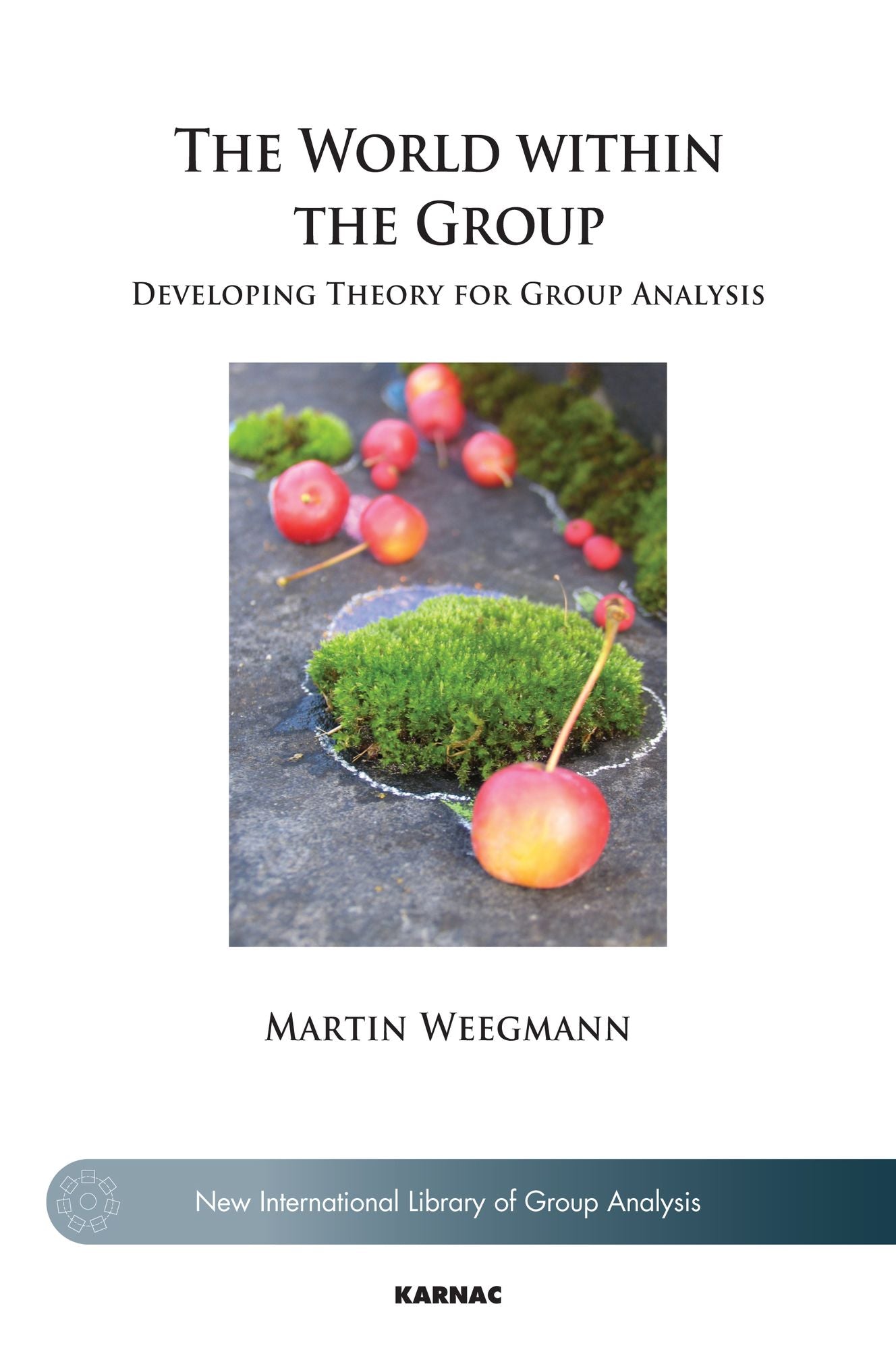 The World Within the Group: Developing Theory for Group Analysis