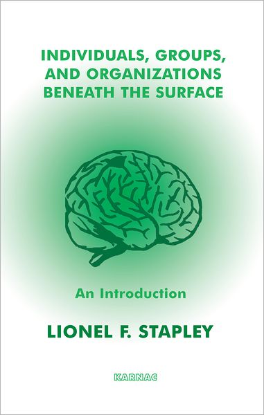 Individuals, Groups and Organizations Beneath the Surface: An Introduction