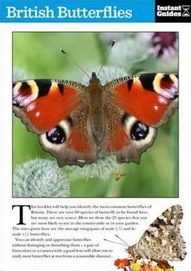 British Butterflies: The Instant Guide