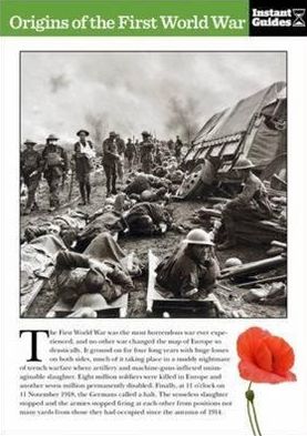 Origins of the First World War: The Instant Guide