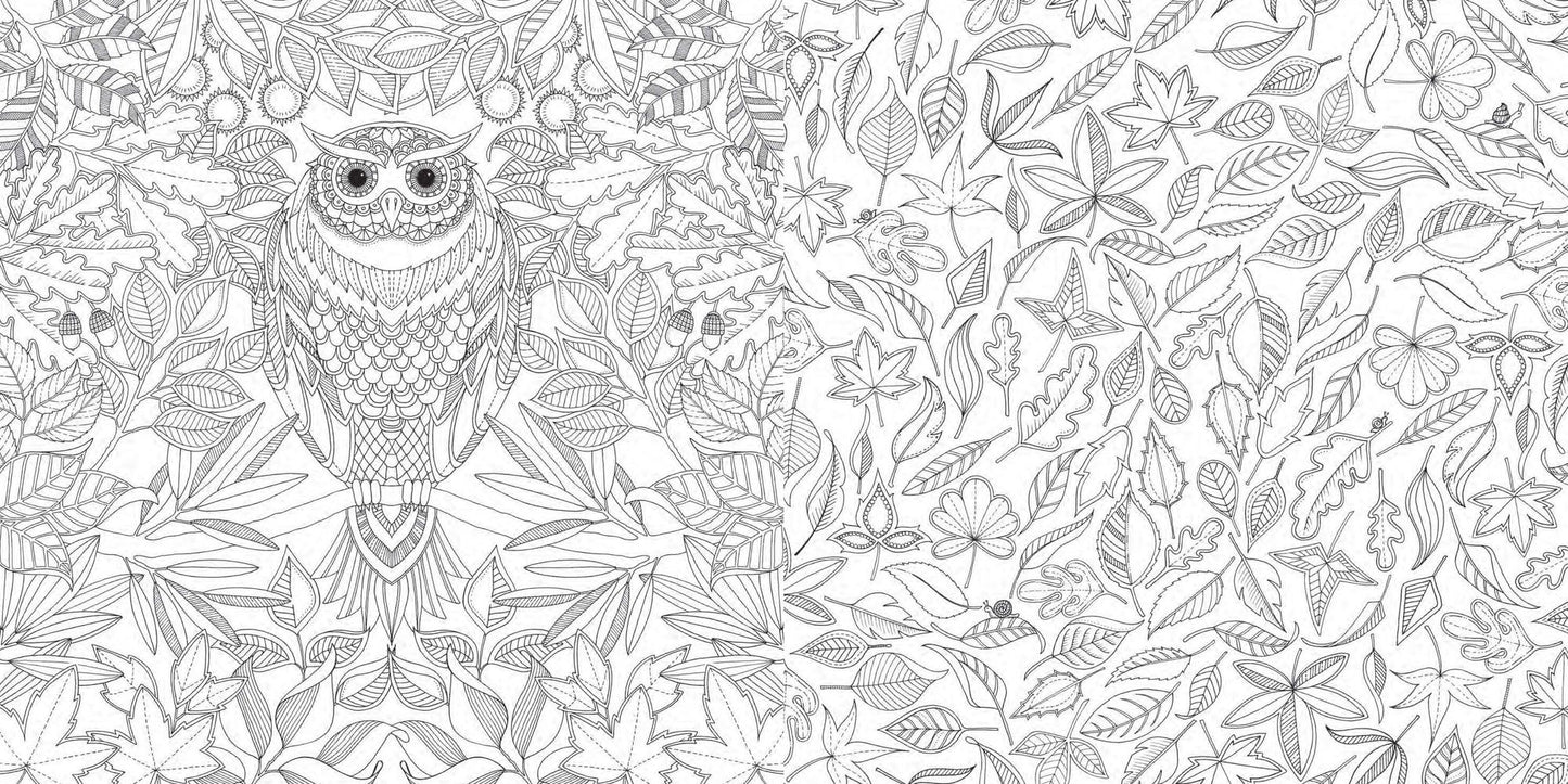 Secret Garden: An Inky Treasure Hunt and Coloring Book (For Adults, mindfulness coloring)