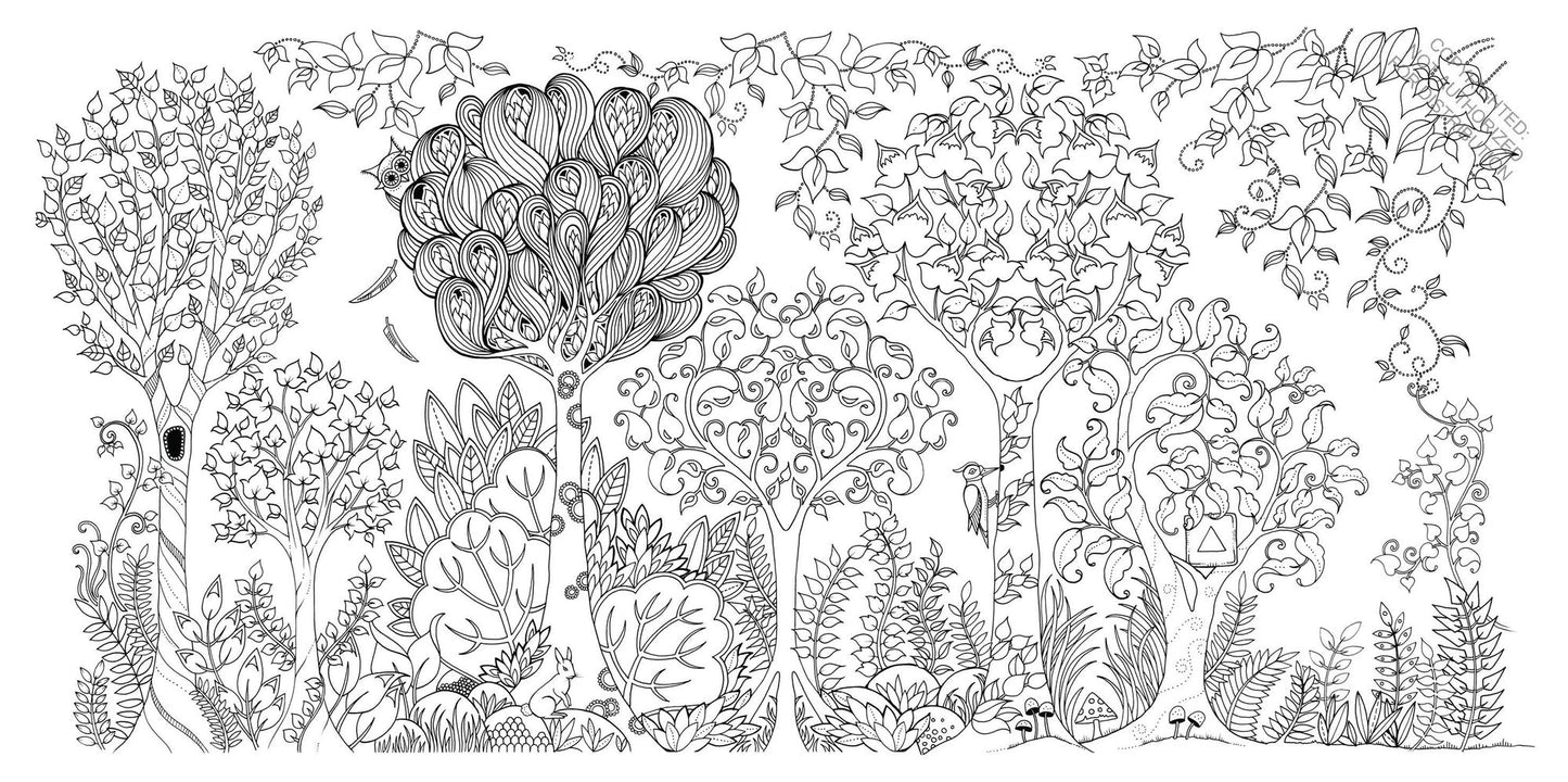 Enchanted Forest: An Inky Quest and Coloring Book for Adults