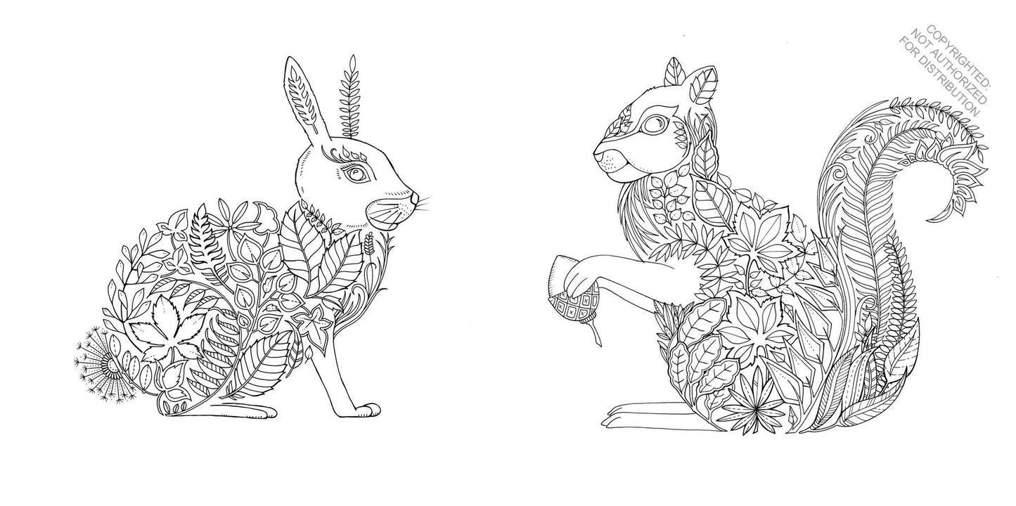 Enchanted Forest: An Inky Quest and Coloring Book for Adults