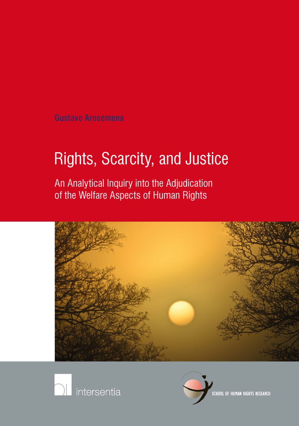 Rights, Scarcity, and Justice: An Analytical Inquiry into the Adjudication of the Welfare Aspects of Human Rights