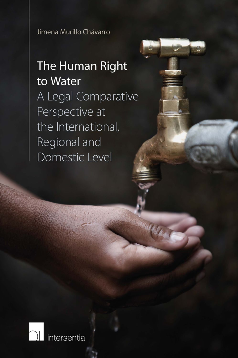 The Human Right to Water: A Legal Comparative Perspective at the International, Regional and Domestic Level