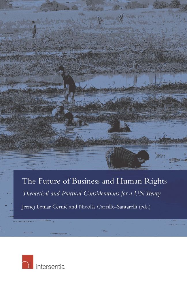 The Future of Business and Human Rights: Theoretical and Practical Considerations for a Un Treaty