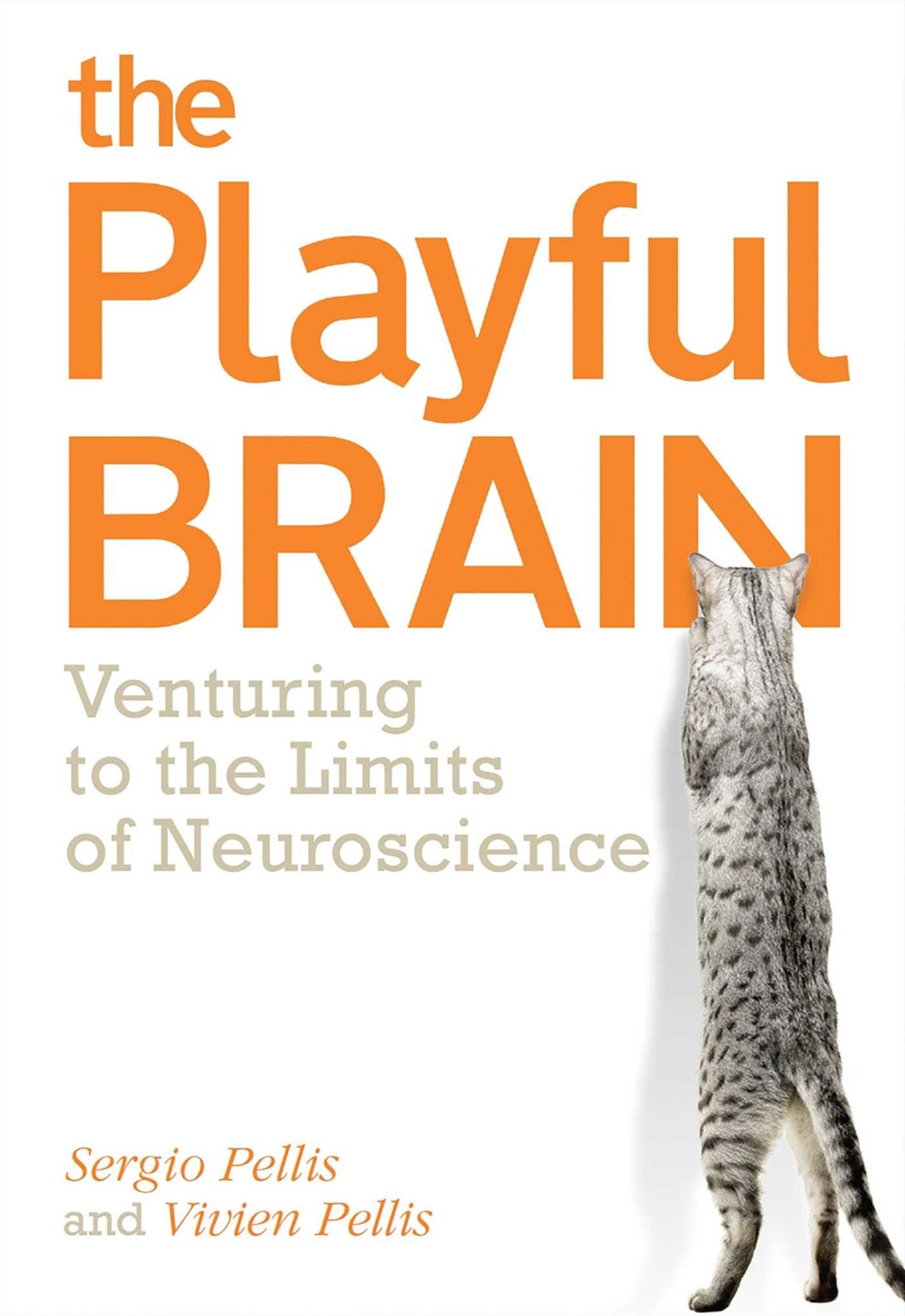 The Playful Brain: Venturing to the Limits of Neuroscience