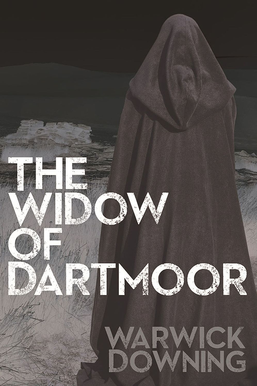 The Widow of Dartmoor