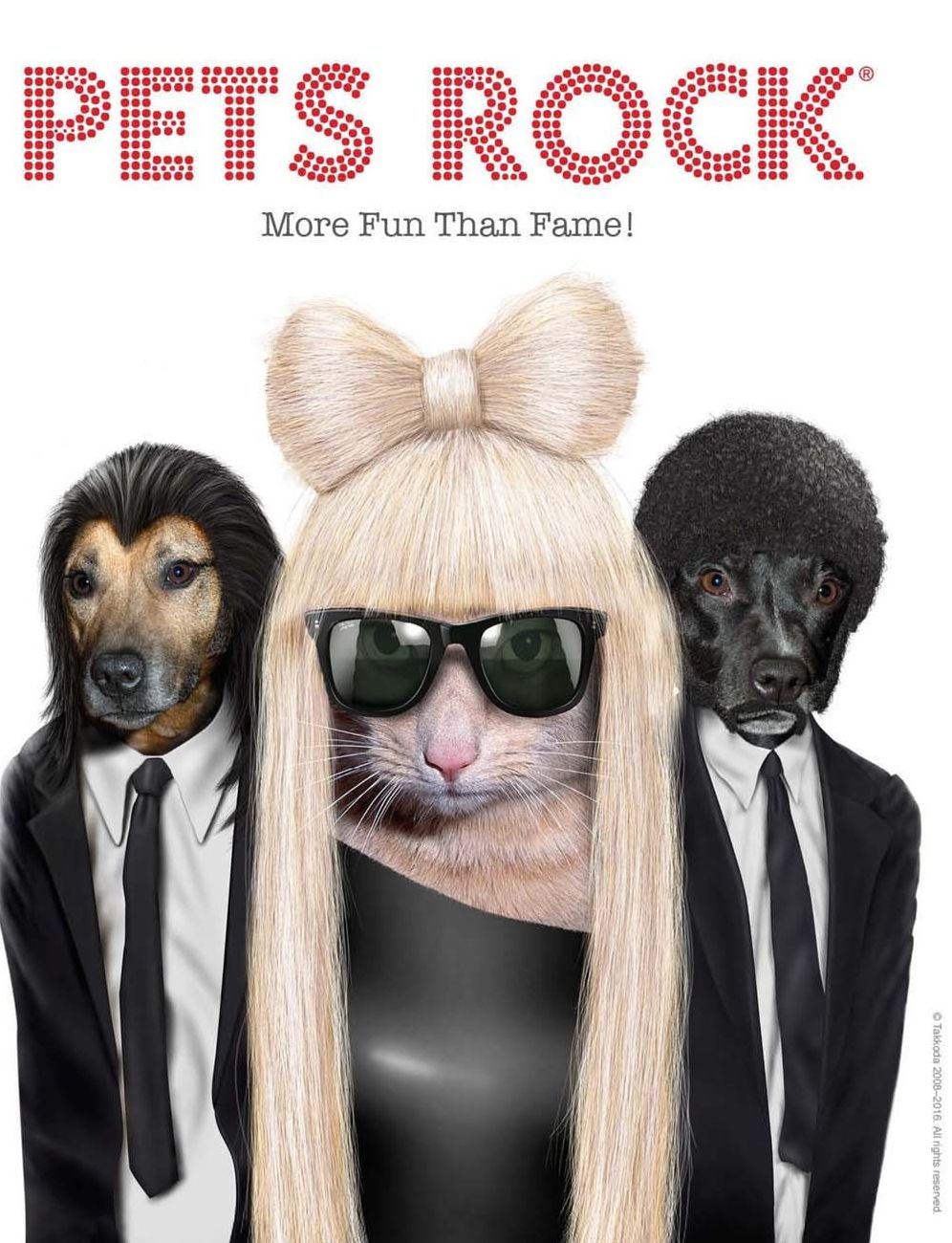 Pets Rock