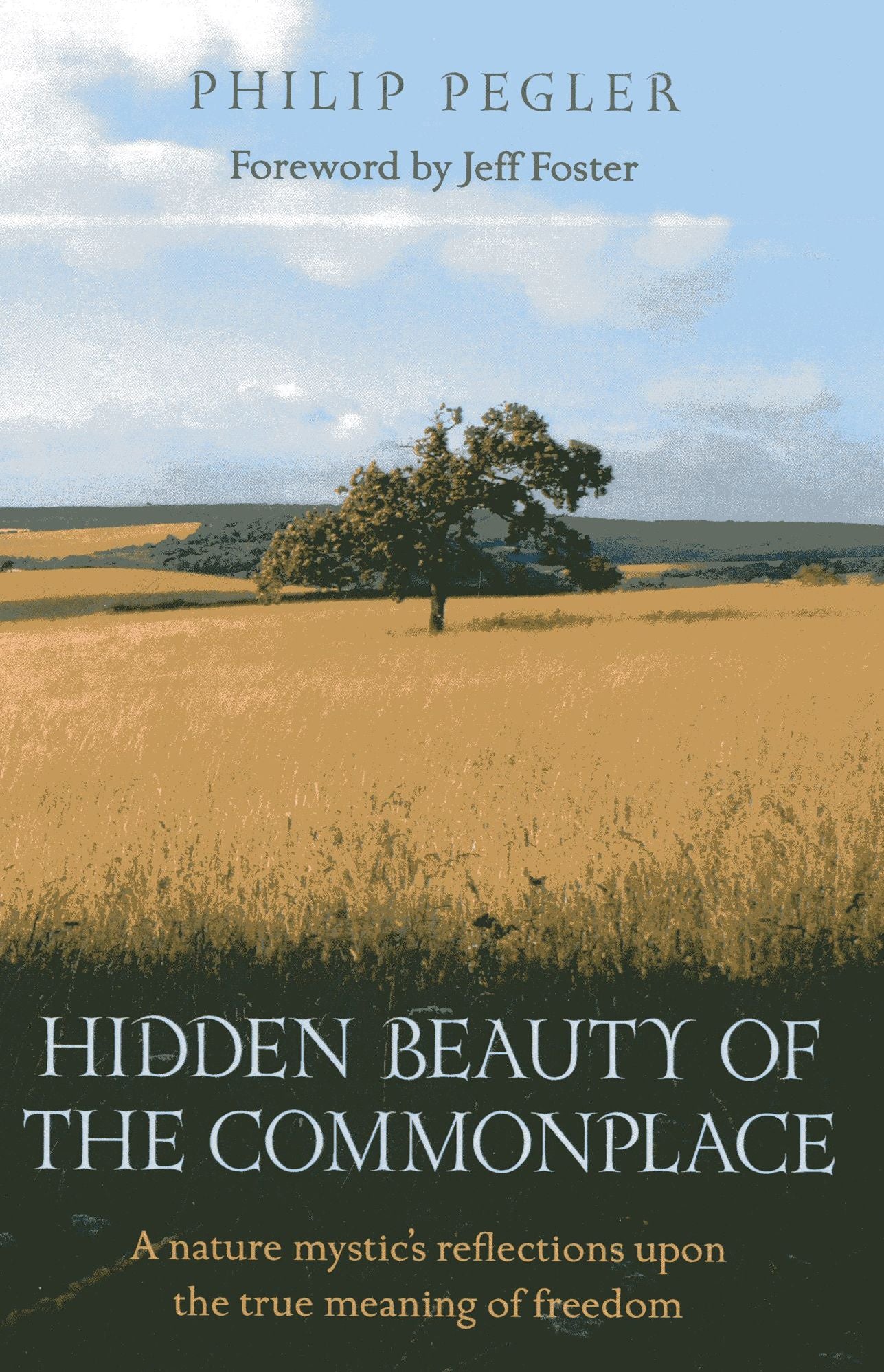 Hidden Beauty of the Commonplace: A nature mystic's reflections upon the true meaning of freedom