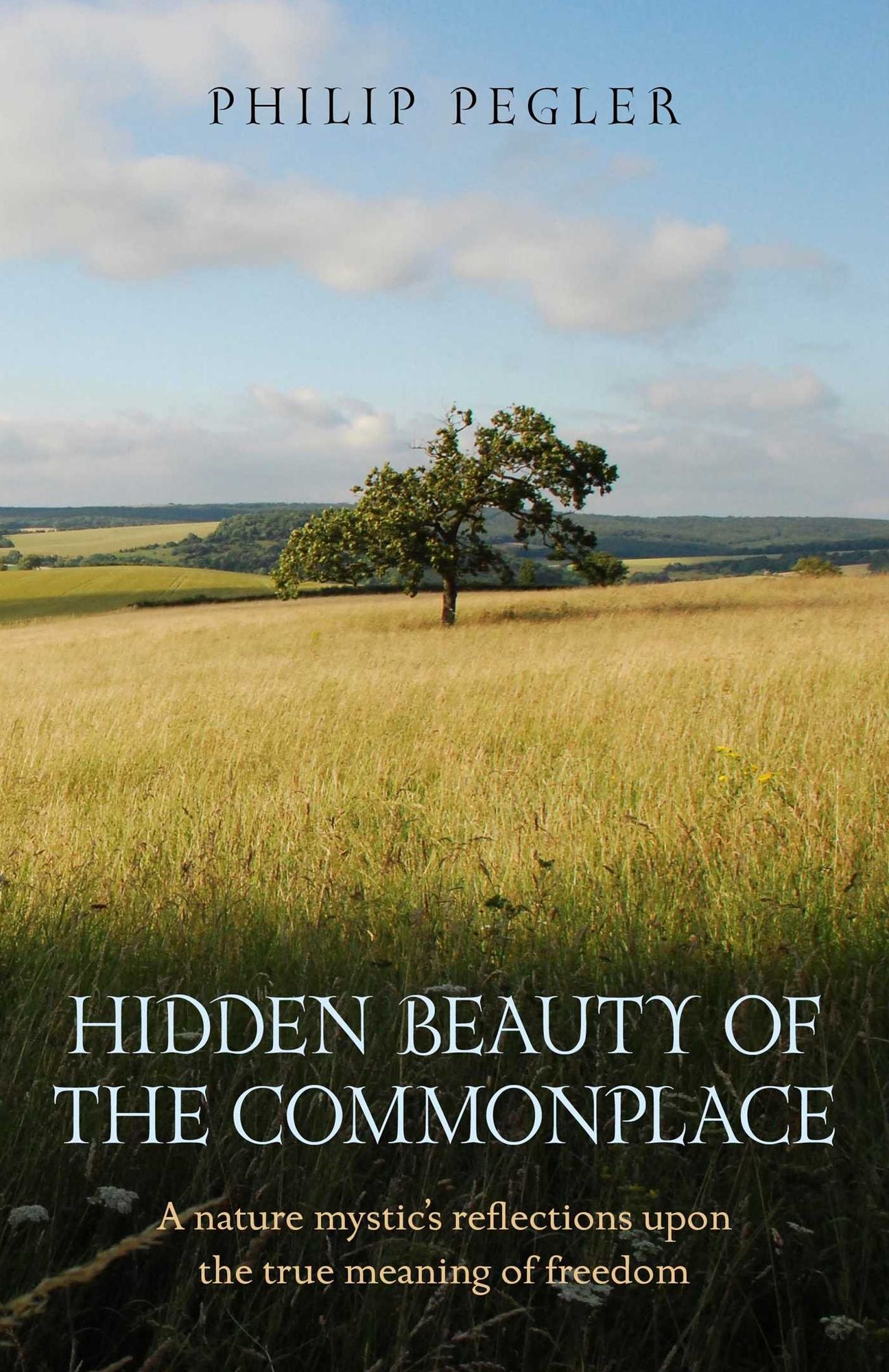 Hidden Beauty of the Commonplace: A Nature Mystic's Reflections upon the True Meaning of Freedom