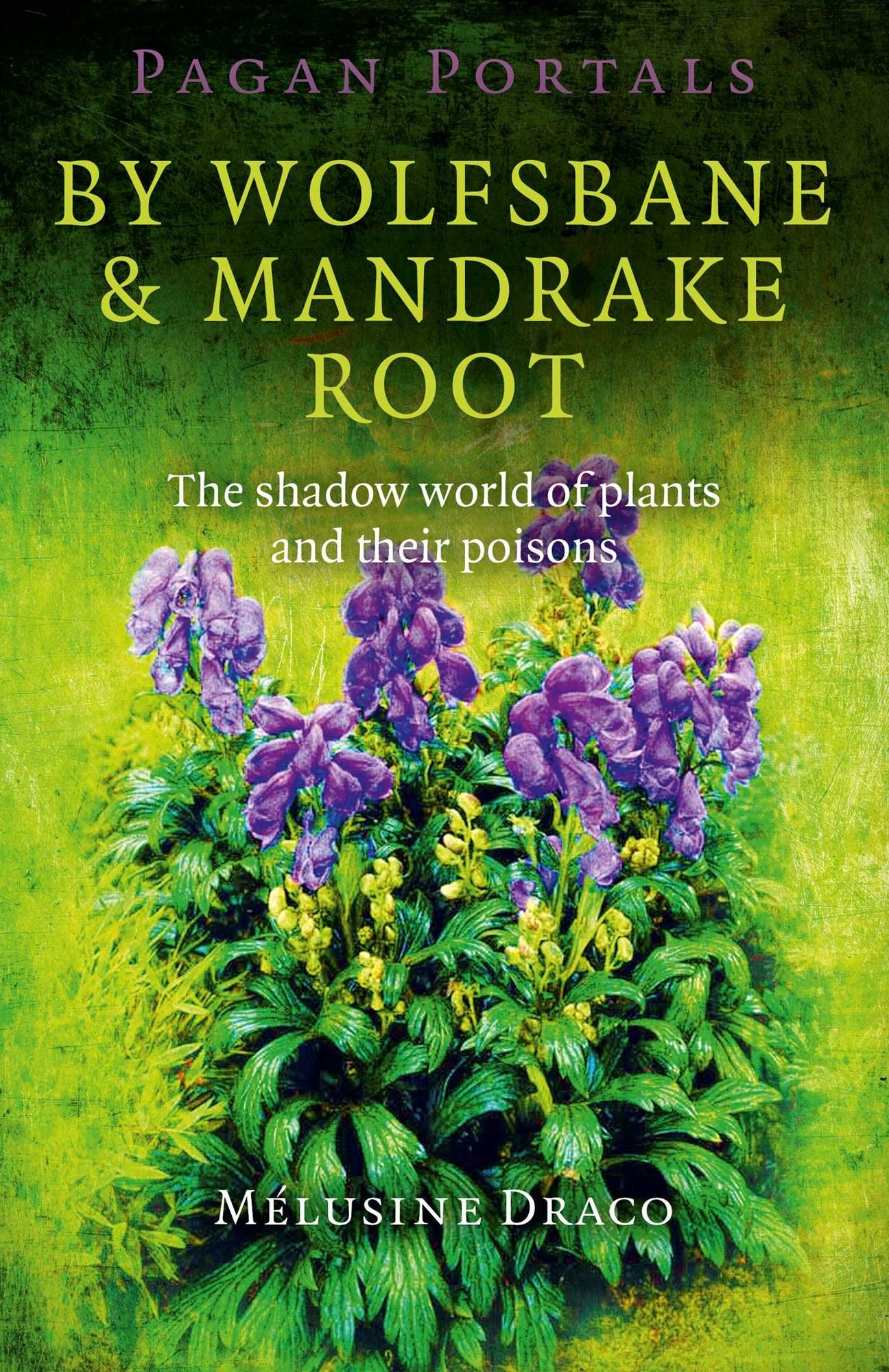 Pagan Portals - By Wolfsbane & Mandrake Root: The Shadow World Of Plants And Their Poisons