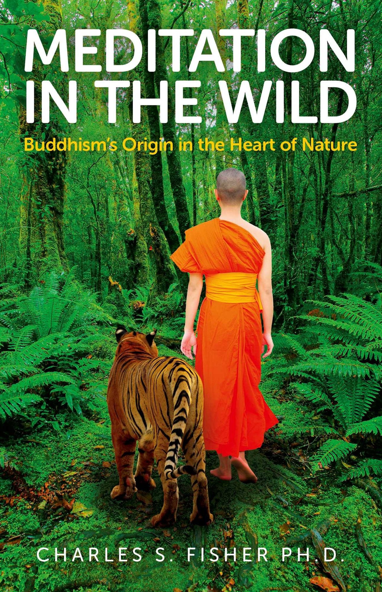 Meditation in the Wild: Buddhism's Origin in the Heart of Nature