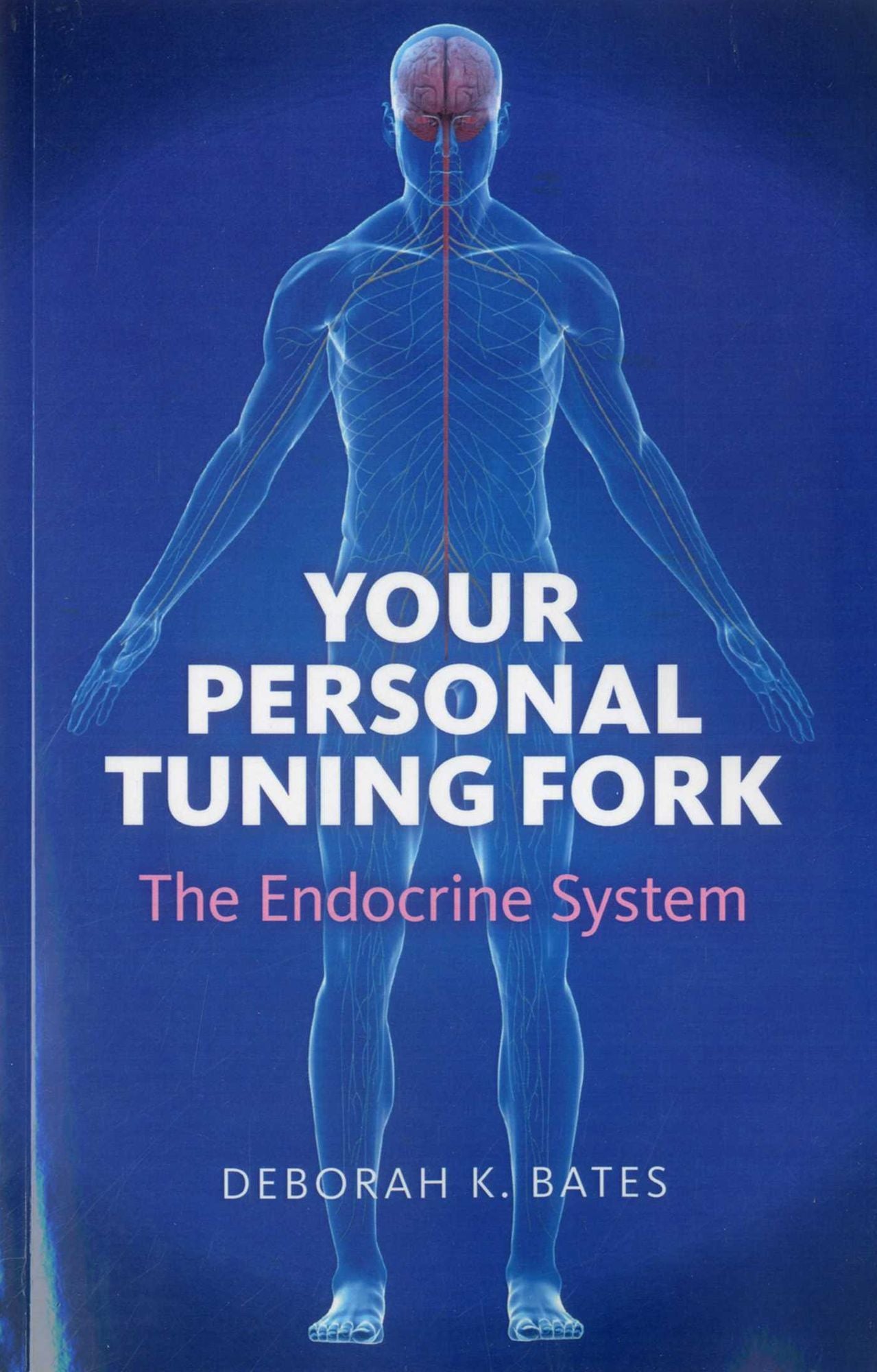 Your Personal Tuning Fork: The Endocrine System