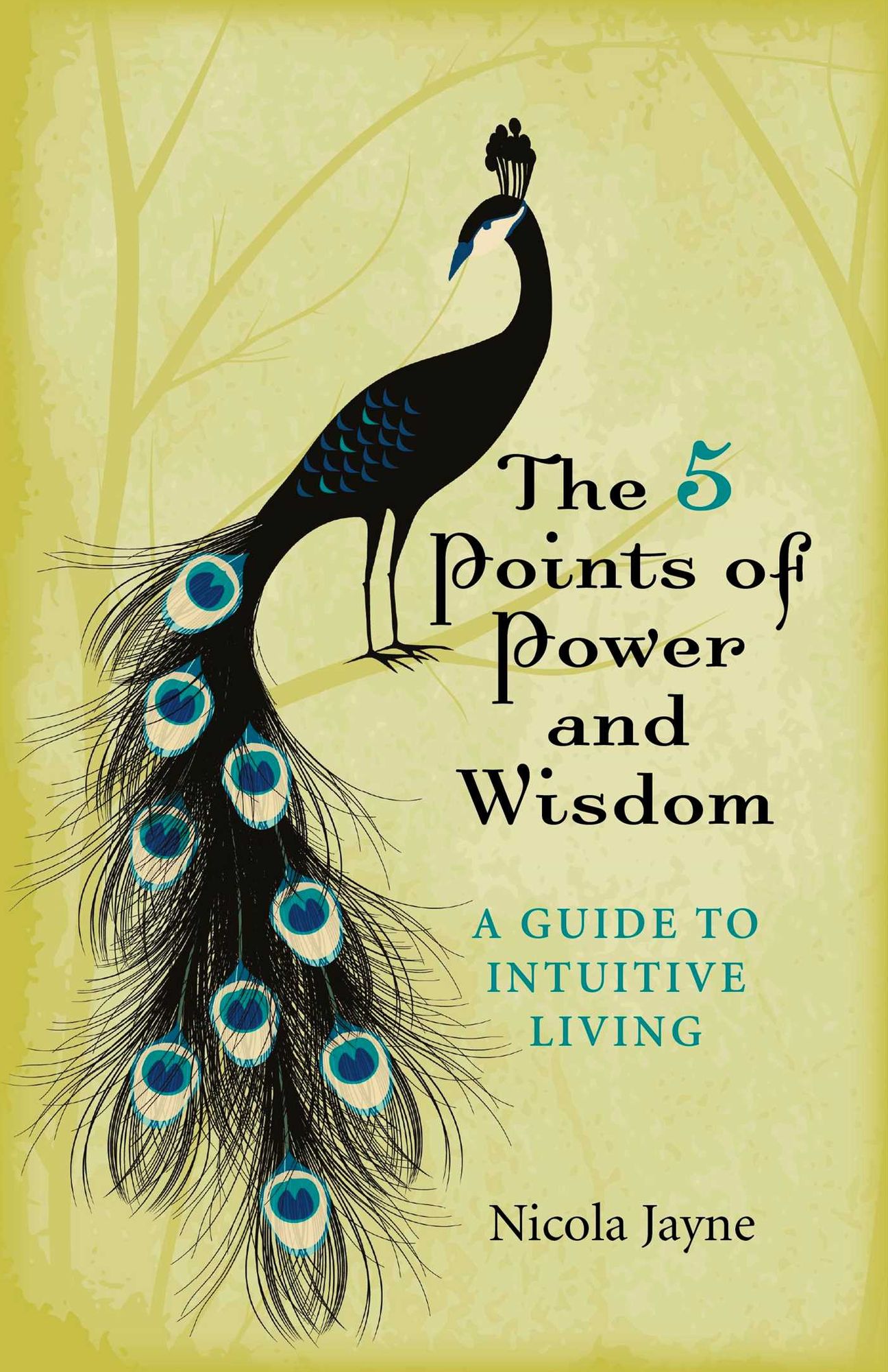 The 5 Points of Power and Wisdom: A Guide to Intuitive Living