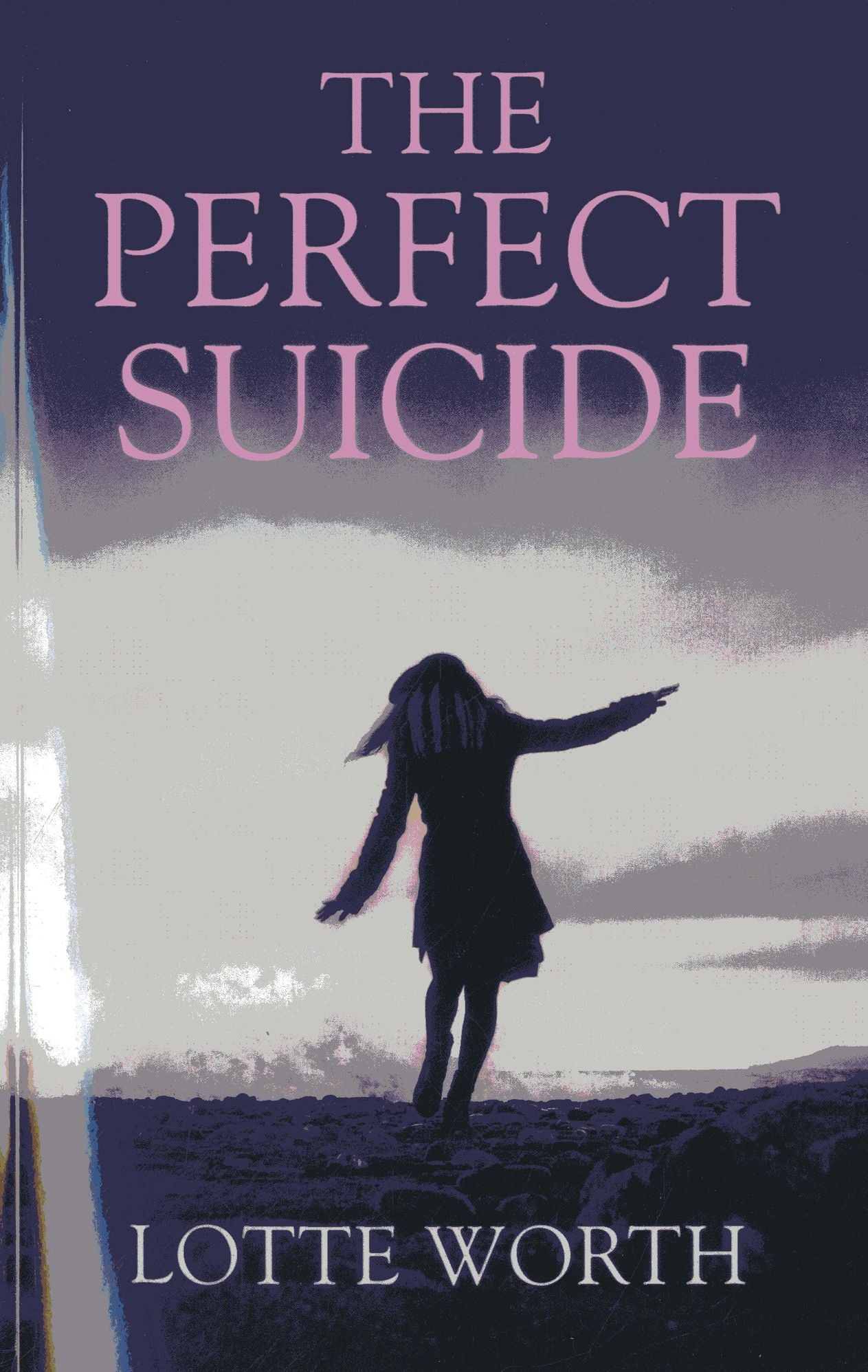 The Perfect Suicide