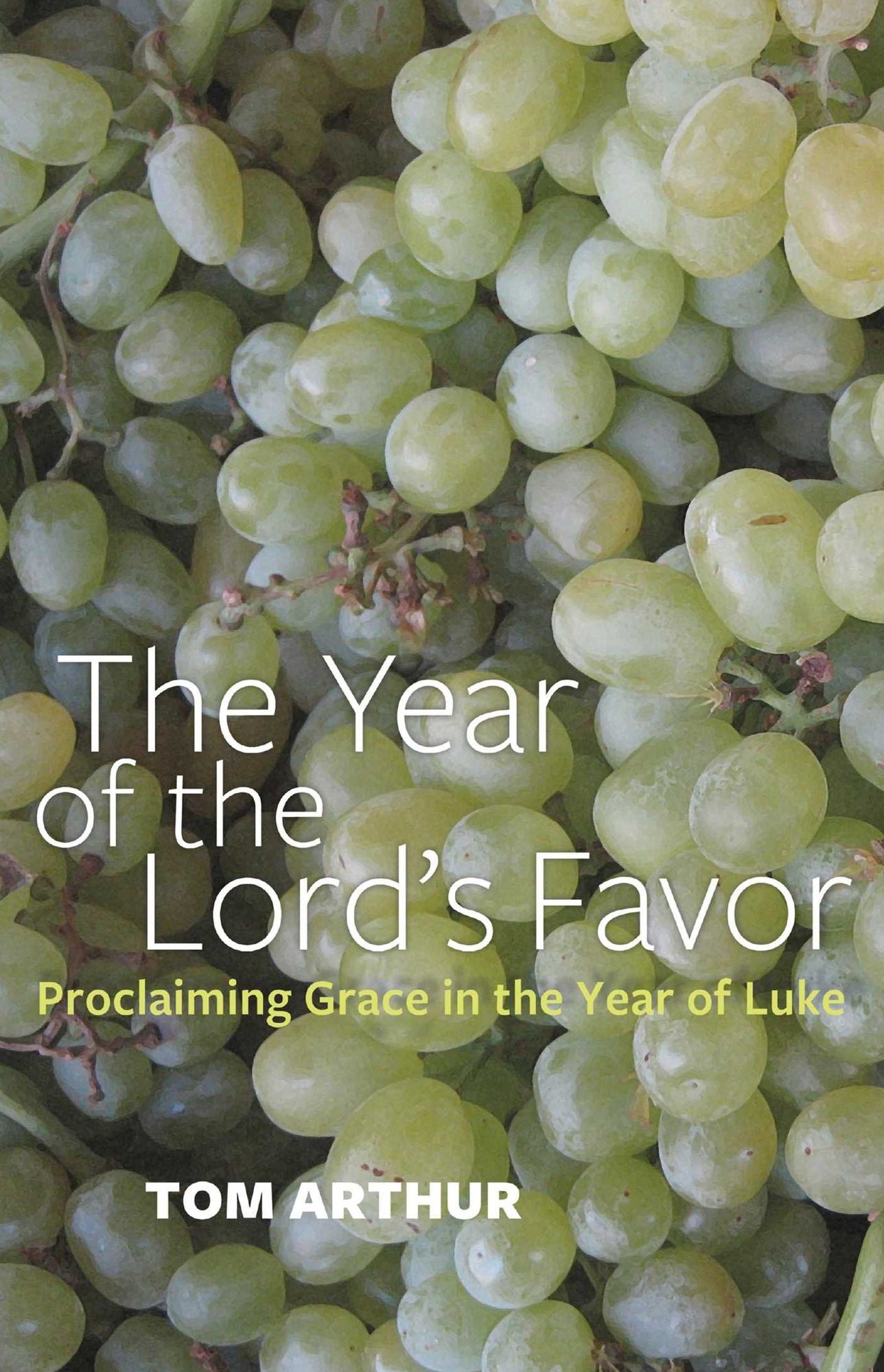 The Year of the Lord's Favor: Proclaiming Grace in the Year of Luke