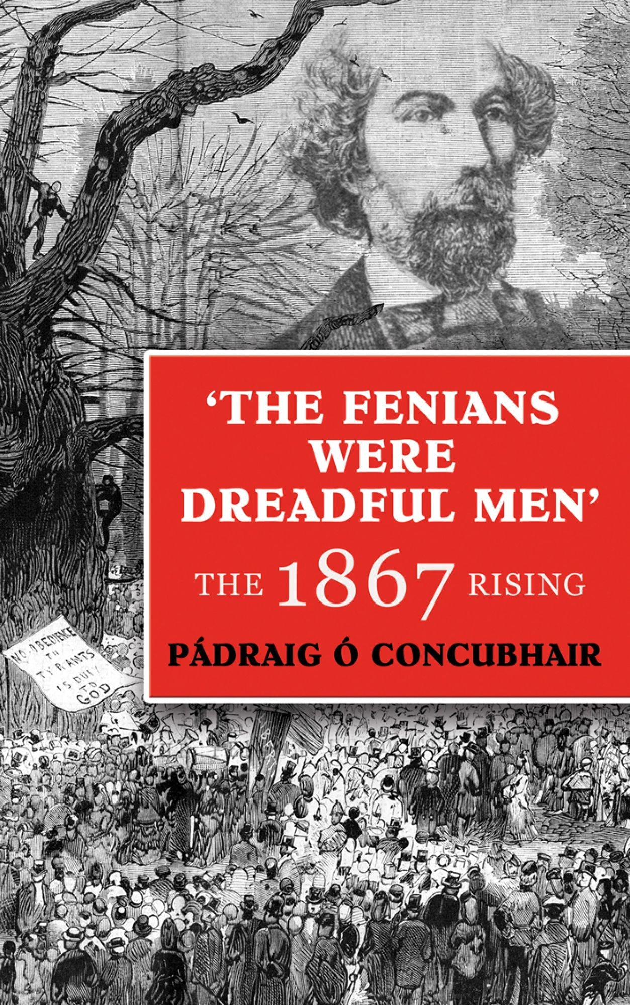 Fenians were Dreadful Men: The 1867 Rising in Ireland