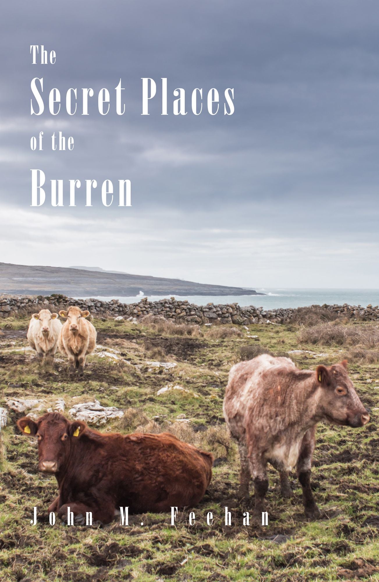 The Secret Places Of The Burren