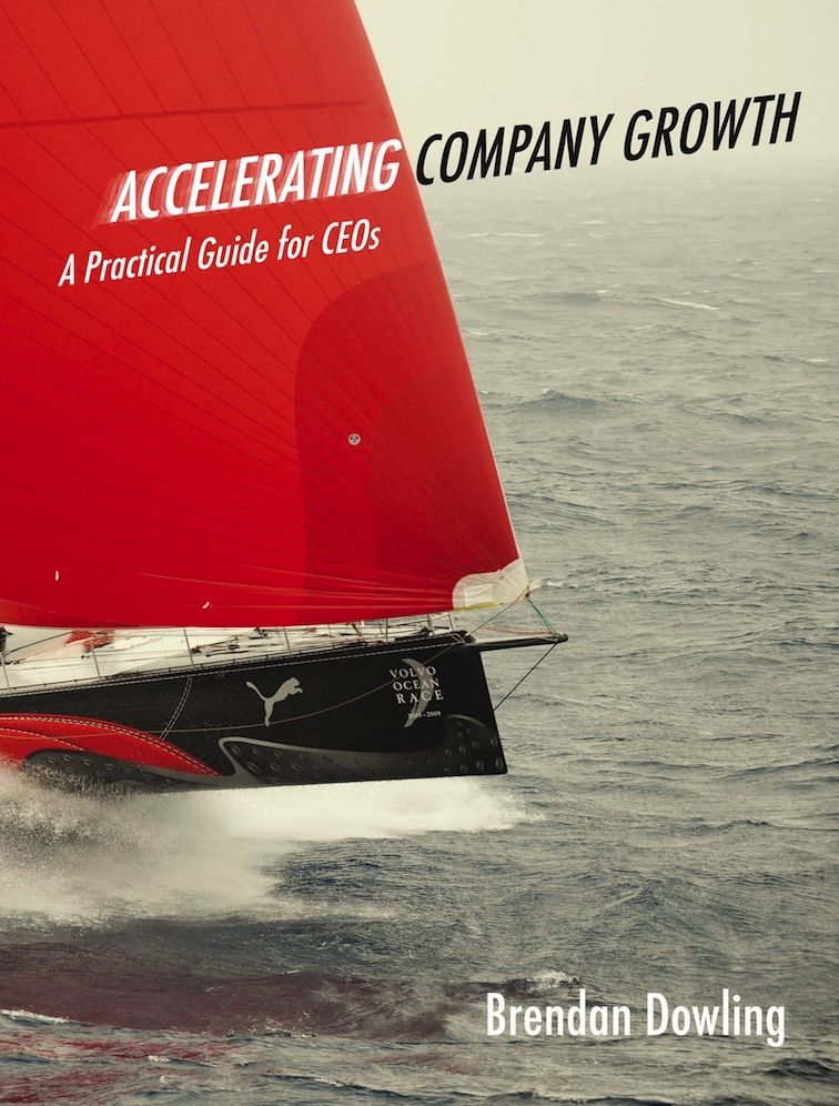 Accelerating Company Growth: A Practical Guide for CEOs