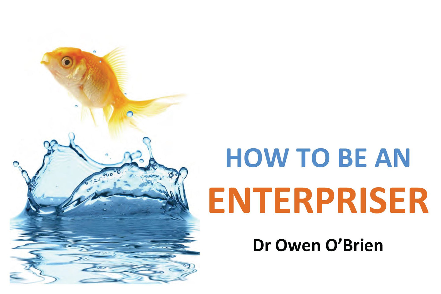 How to be an Enterpriser
