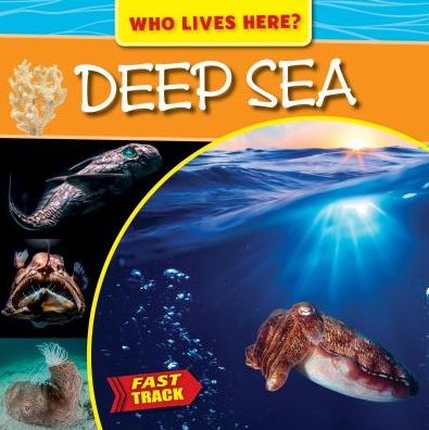 Deep Sea