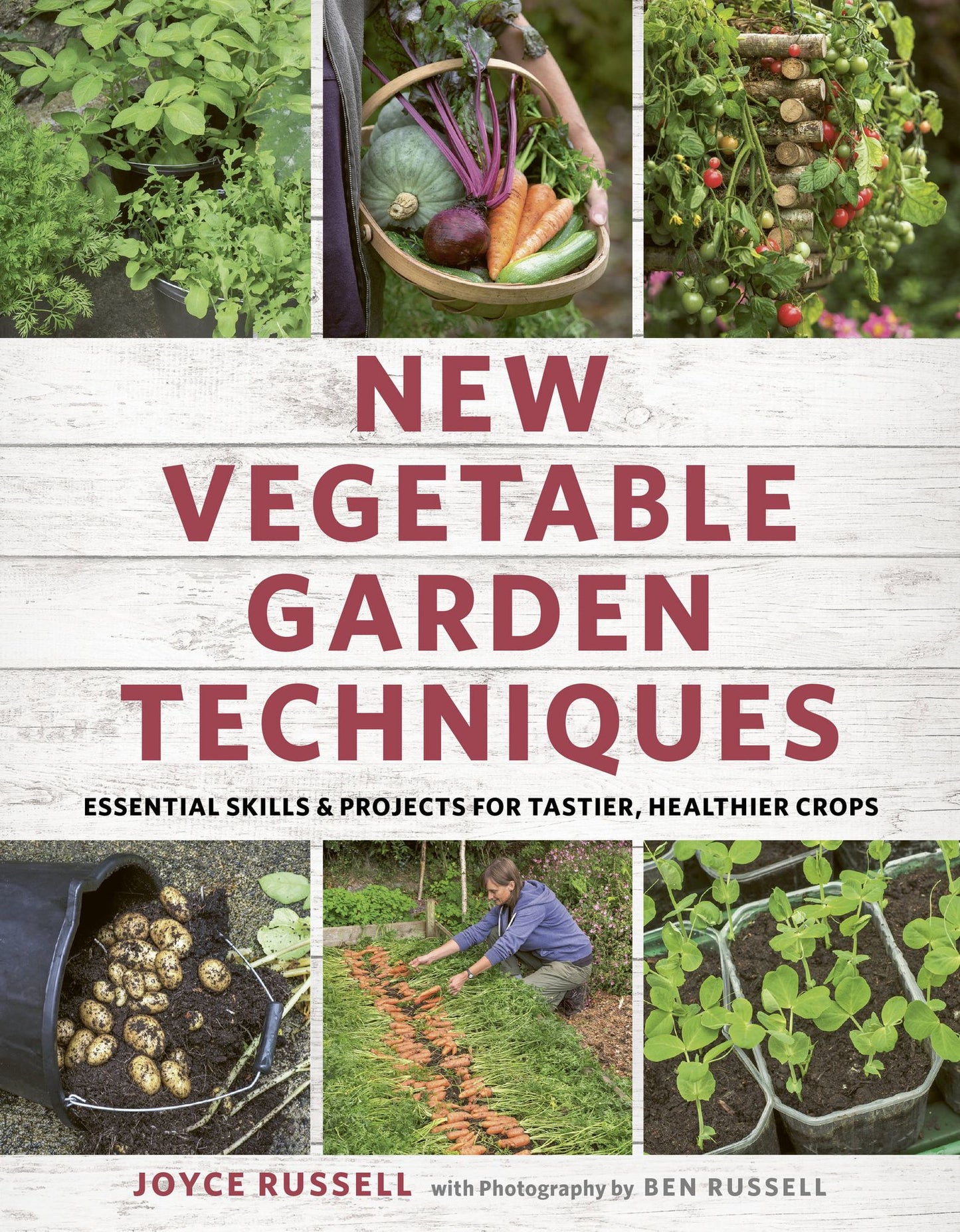 New Vegetable Garden Techniques: Essential Skills and Projects for Tastier, Healthier Crops