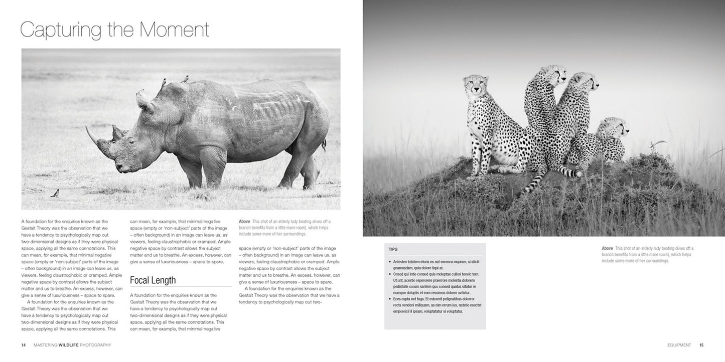 Mastering Wildlife Photography